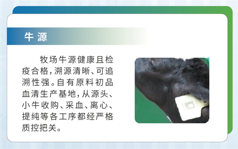Cattle Source