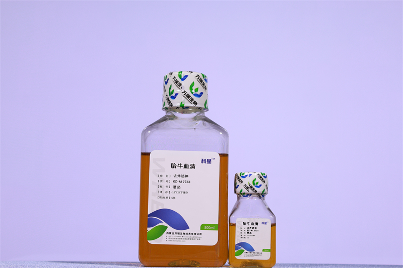Exosome-Depleted Fetal Bovine Serum