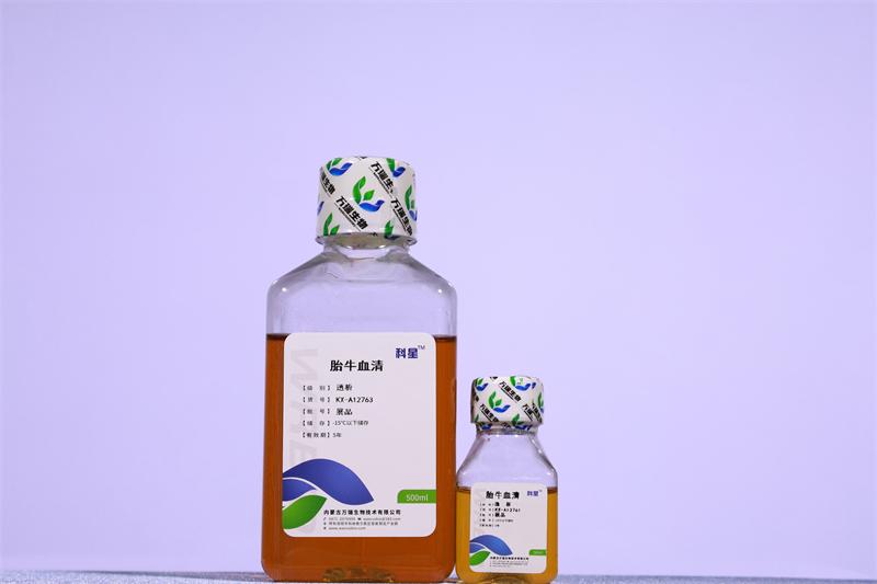 Dialyzed Fetal Bovine Serum