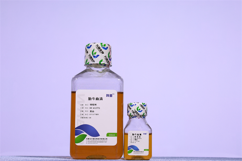 Charcoal-Stripped Fetal Bovine Serum